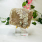 flower agate slab on stand in front of vines