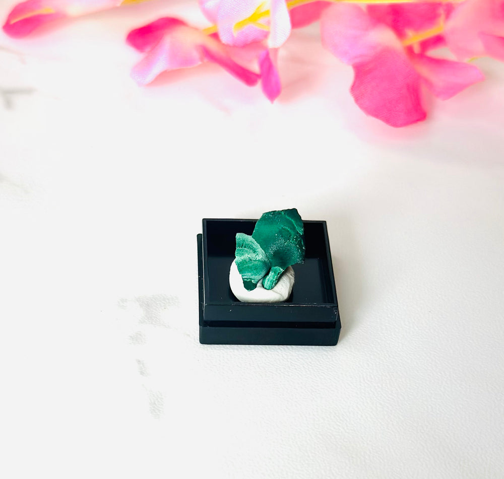 small green silky velvet malachite sits on white marble surrounded by vines and flowers