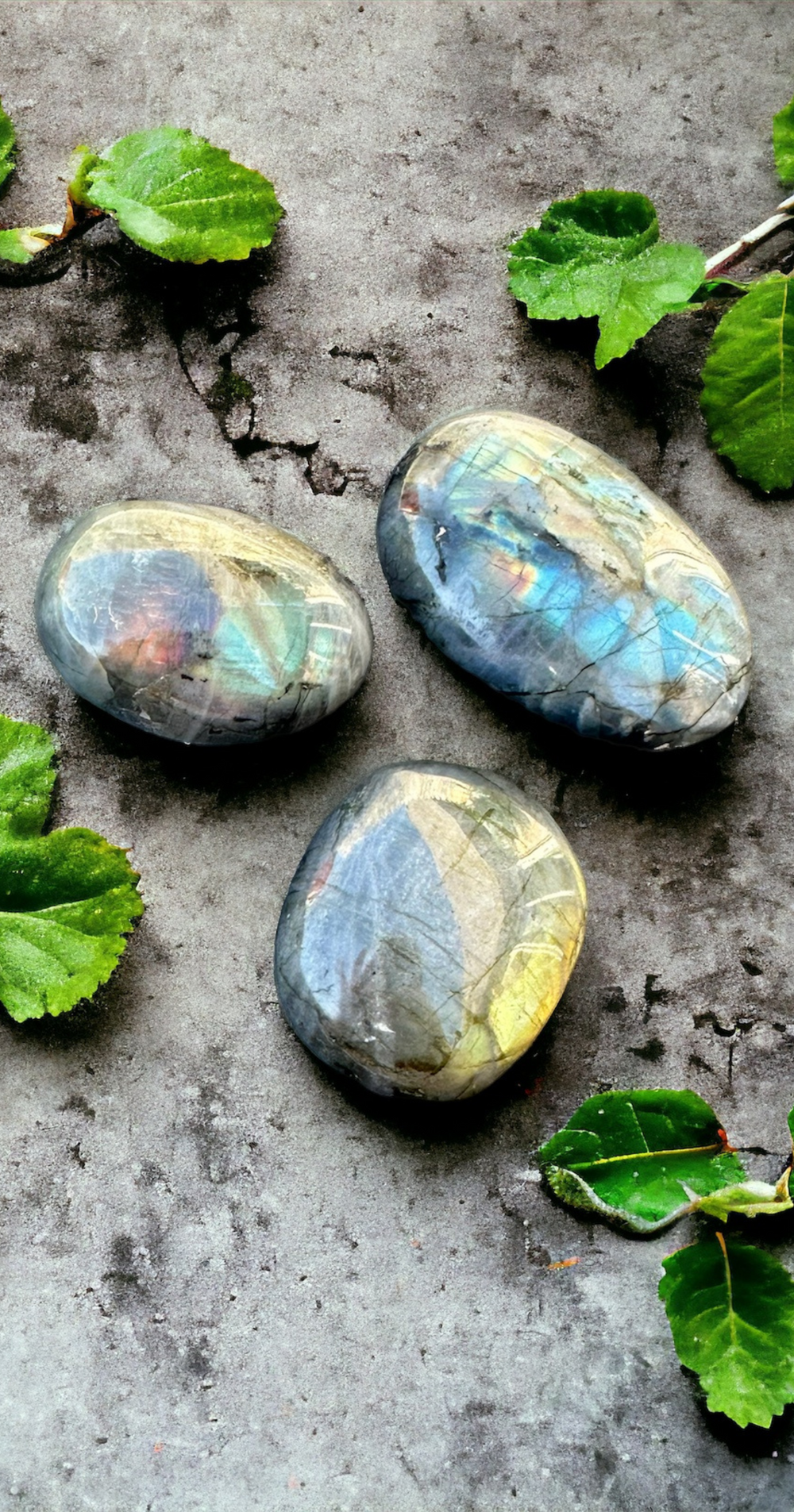 3 beautiful labradorite palm stones sit on concrete showing off colorful flashes of blue, green, orange, yellow and more.