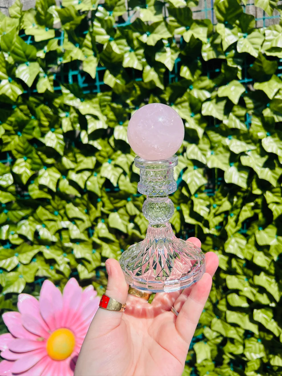 rose quartz sphere atop a crystal sphere holder in front of greenery and pink flower